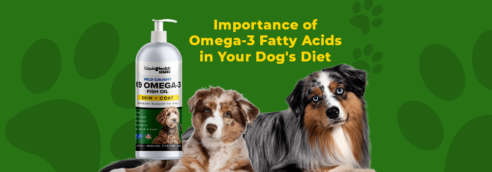 Importance of Omega-3 Fatty Acids in Your Dog's Diet