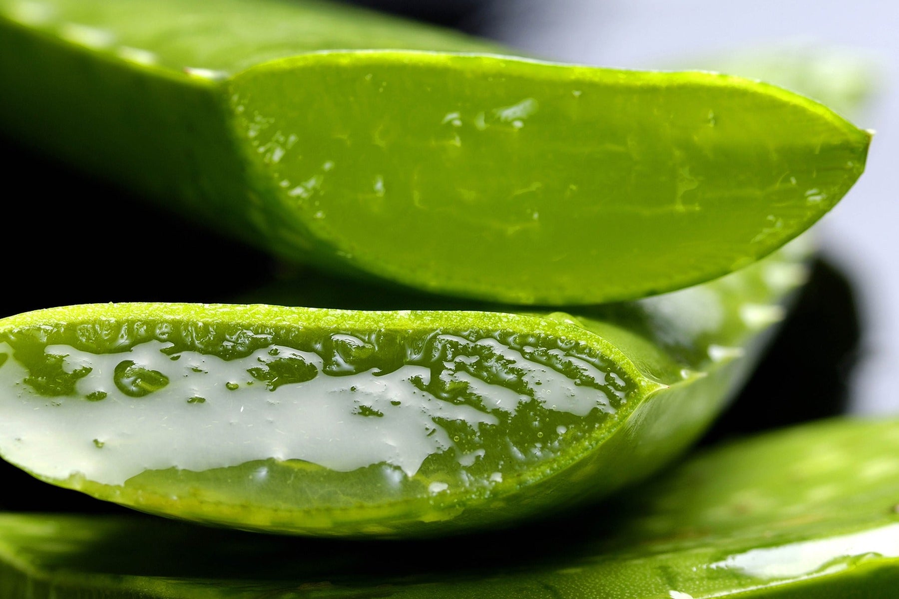 Aloe Vera plant cut in half leaking