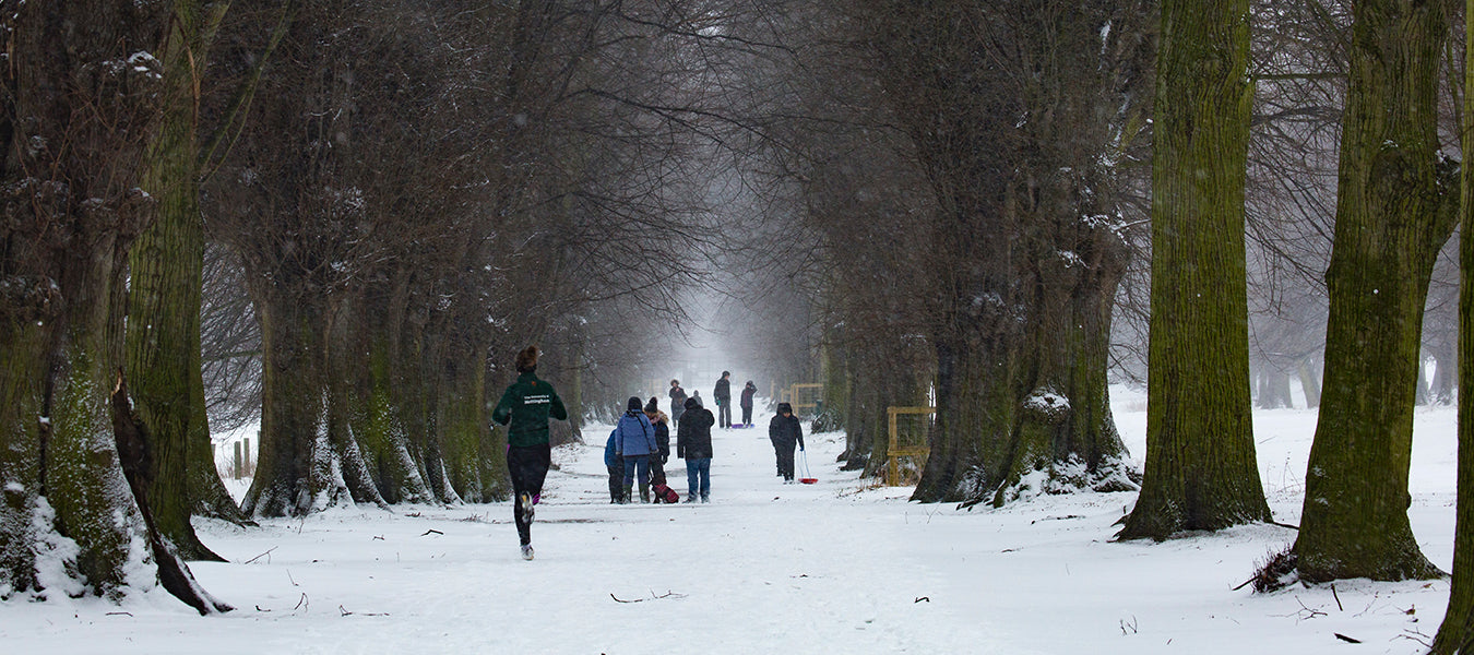 People between trees in a winter day