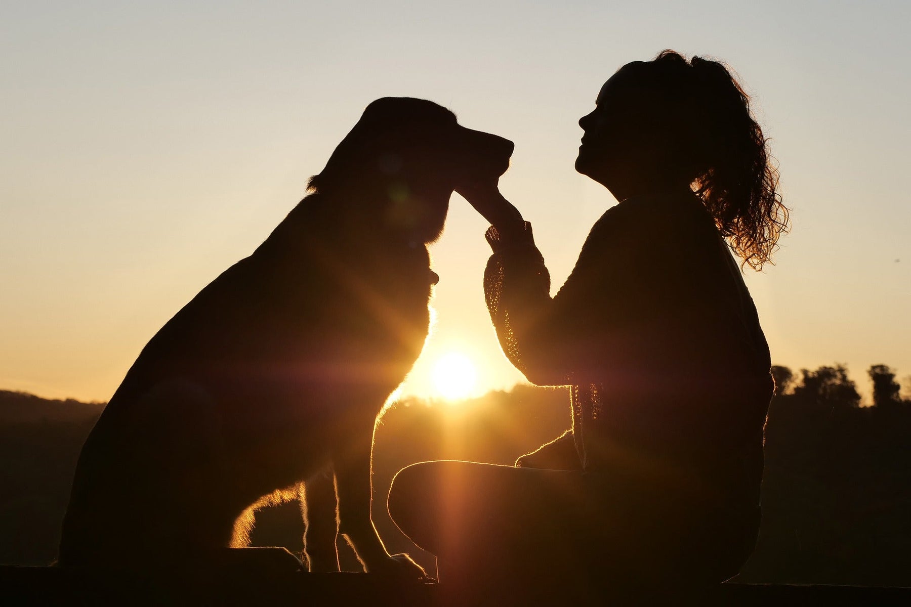Woman holding her dog's chin next to a sunrise