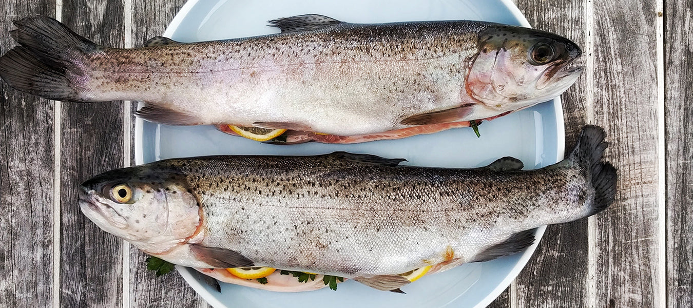 Two pieces of fish sitting on a blue plate on top of a wood table