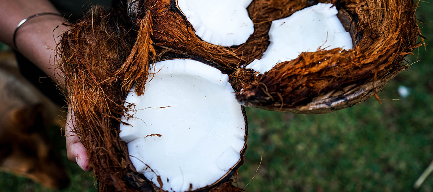 Woman sitting on grass and holding cracked coconut