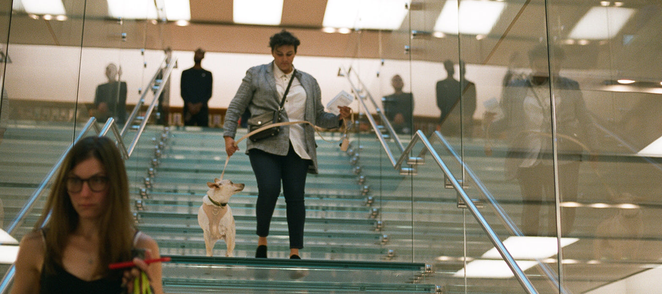 Man with his dog coming down the stairs