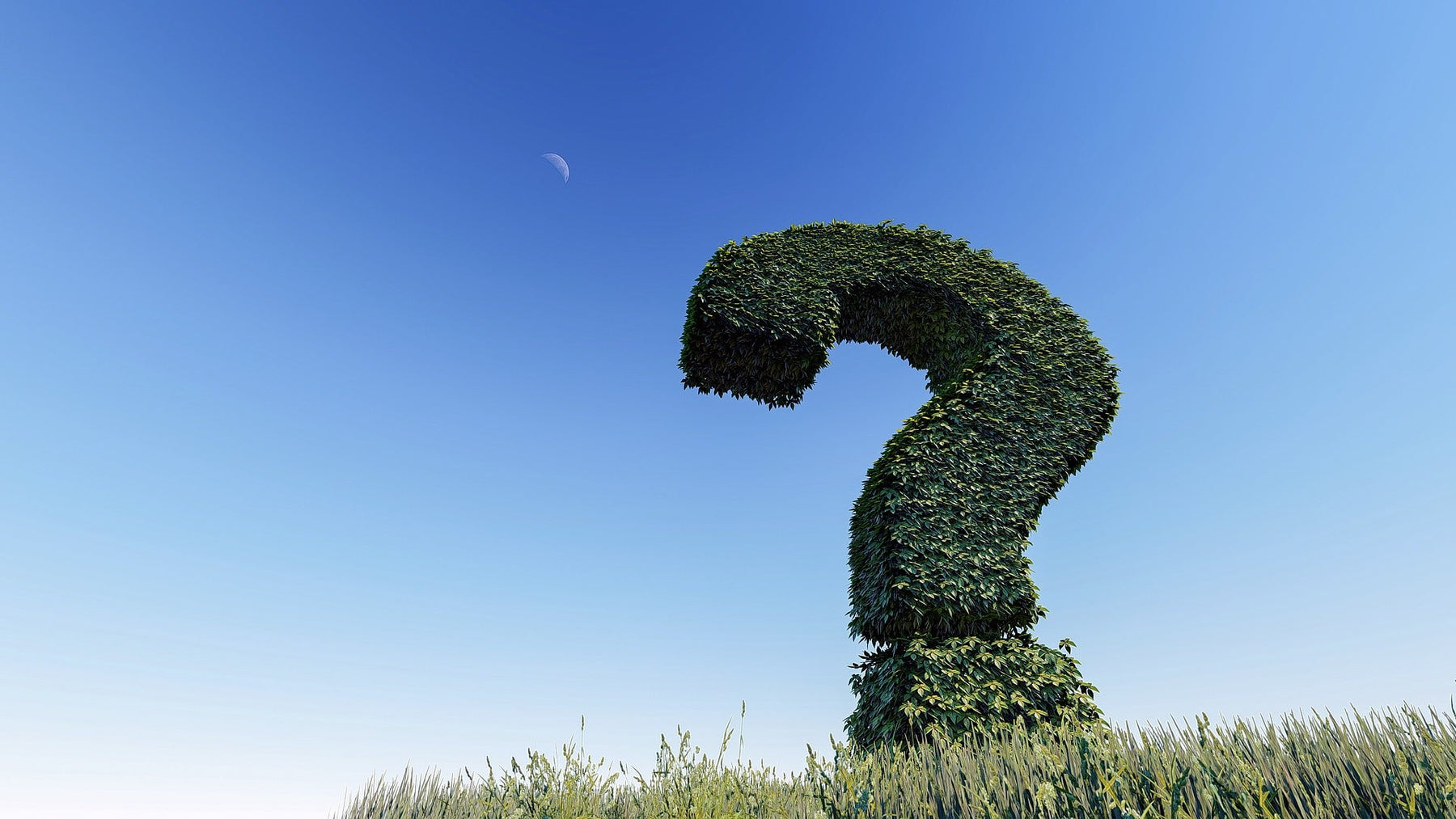 Huge question mark made by grass in a field with a blue sky