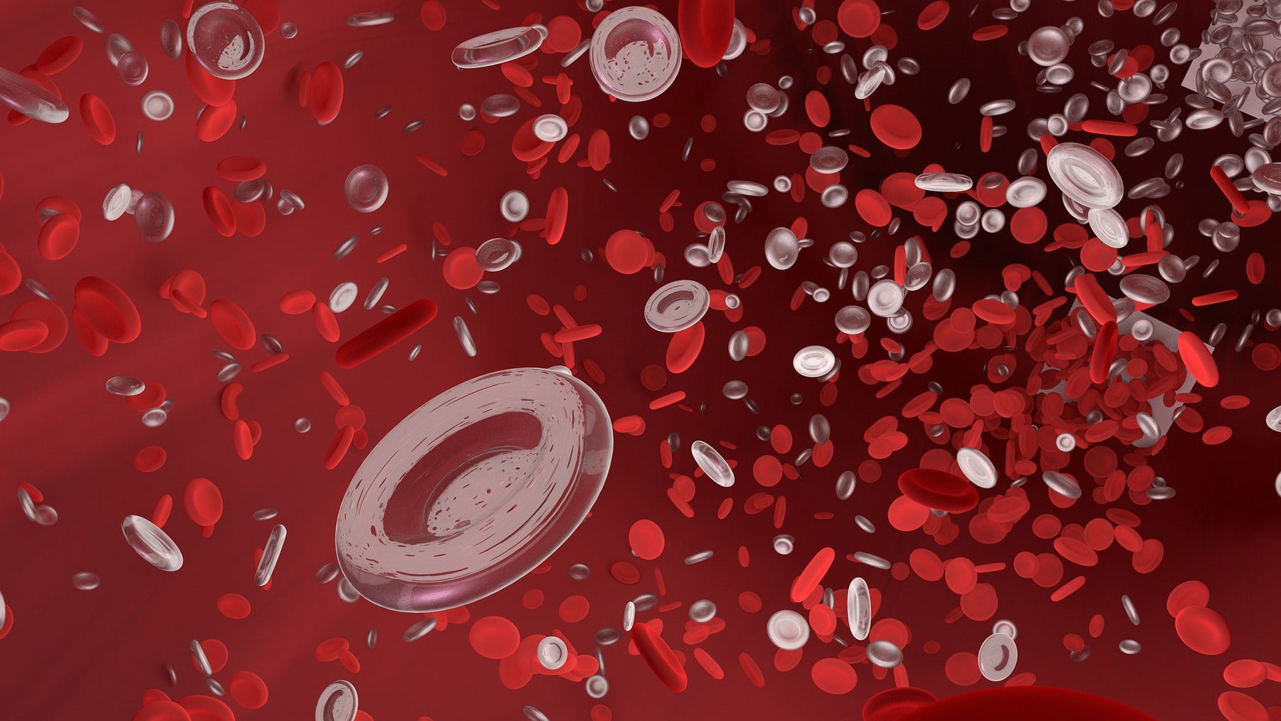 Red blood cells travelling