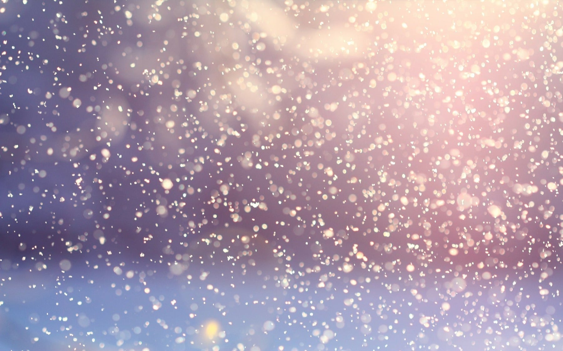 Snow falling slowly on the ground