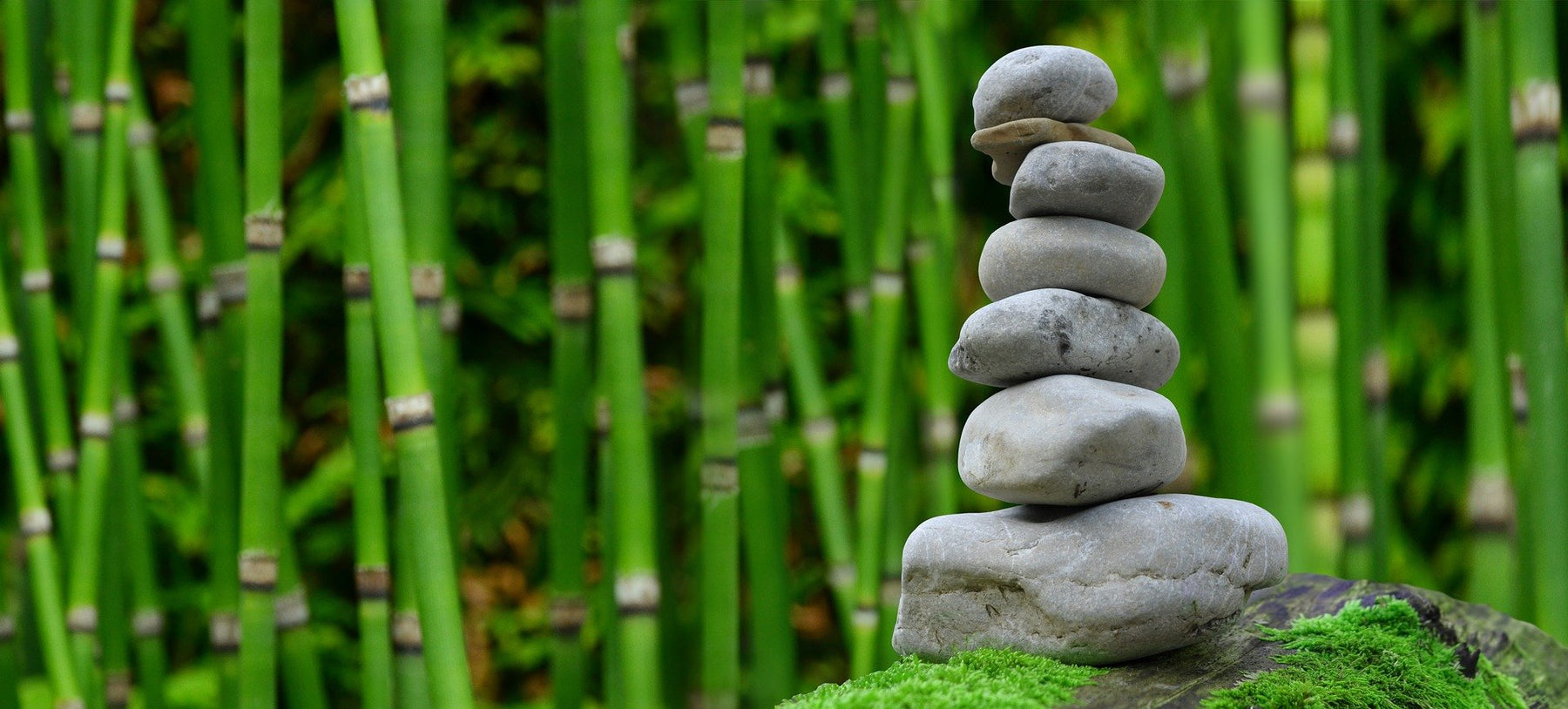 Stones piled up from big to small next to bamboo