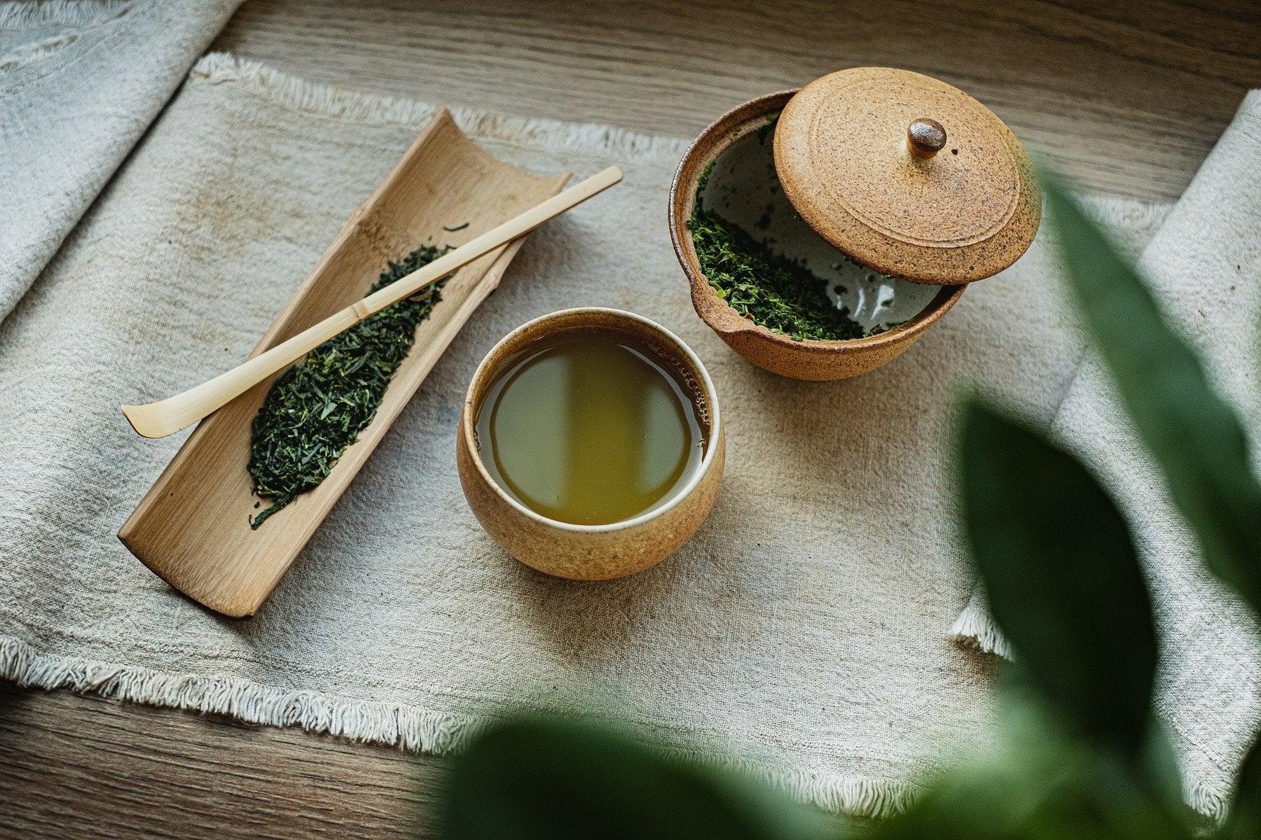 Green tea plant next to green tea liquid