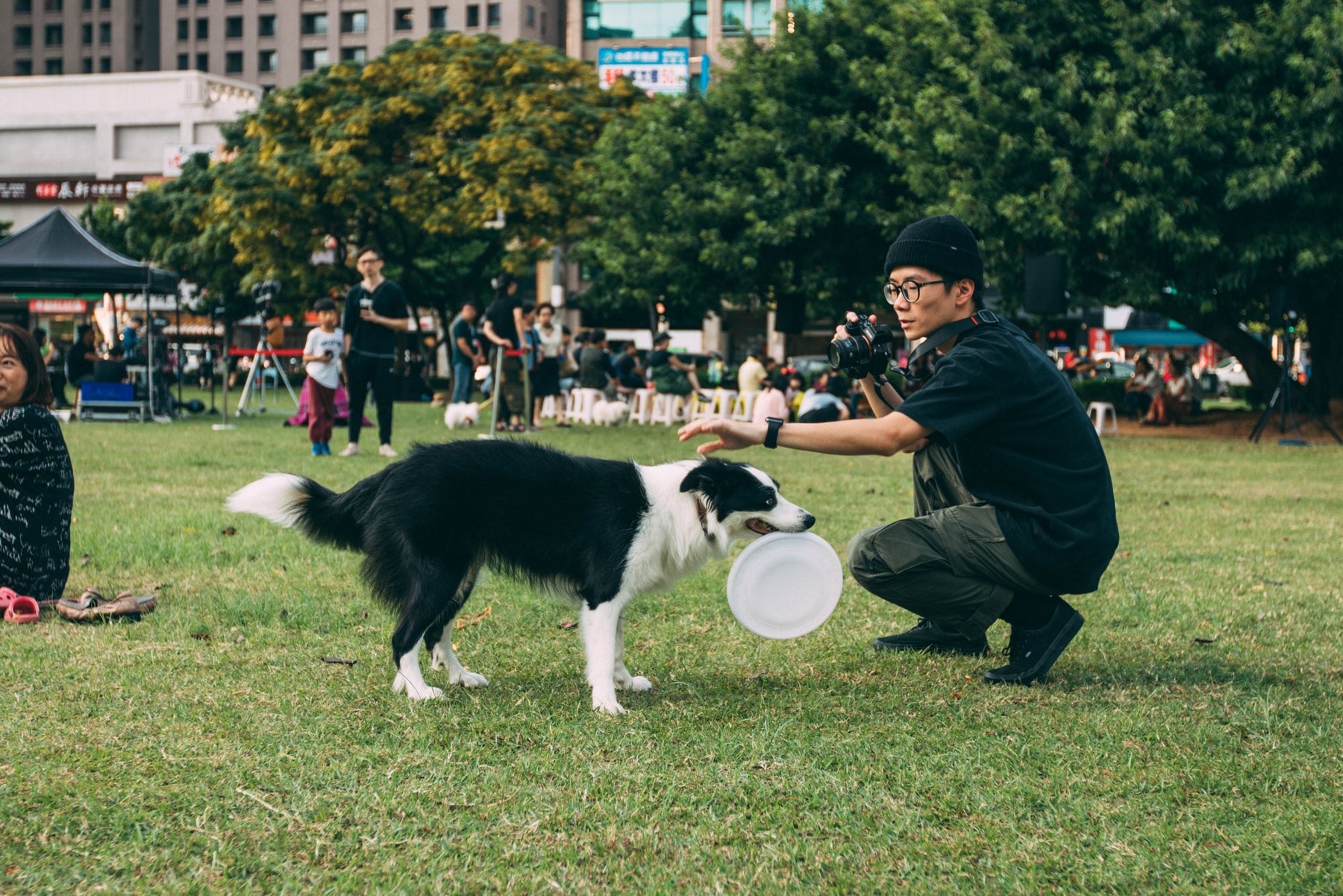 Owner playing with his dog in the park