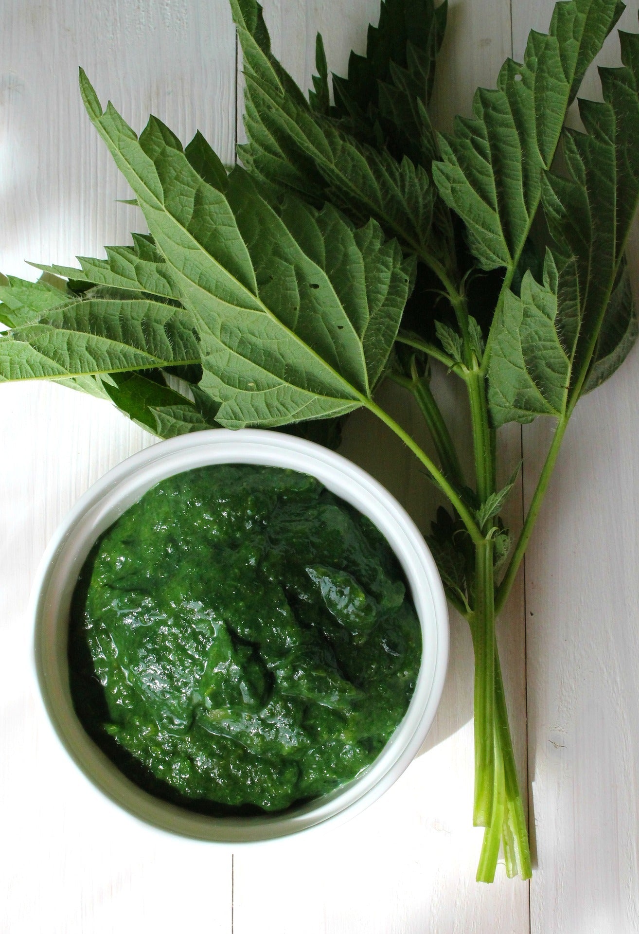 Spinach in a white bowl with leaves next to it