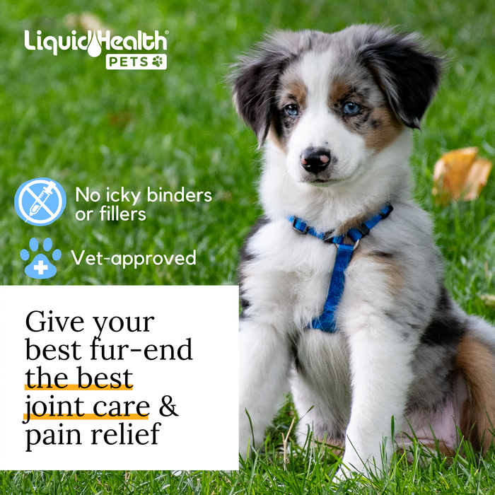 K9 Glucosamine For Dogs Joint Supplement