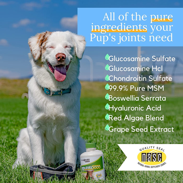 K9 Level 5000 Glucosamine For Dogs