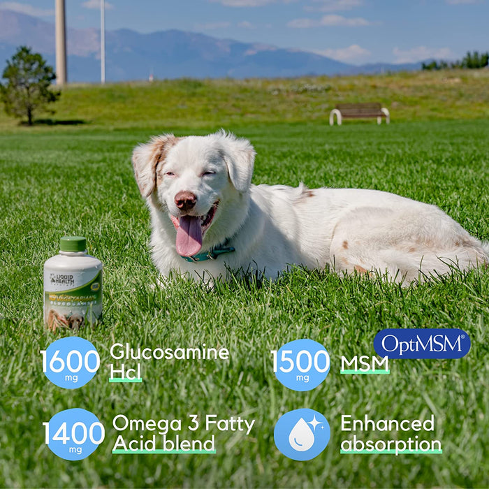 K9 Vegetarian Glucosamine For Dogs