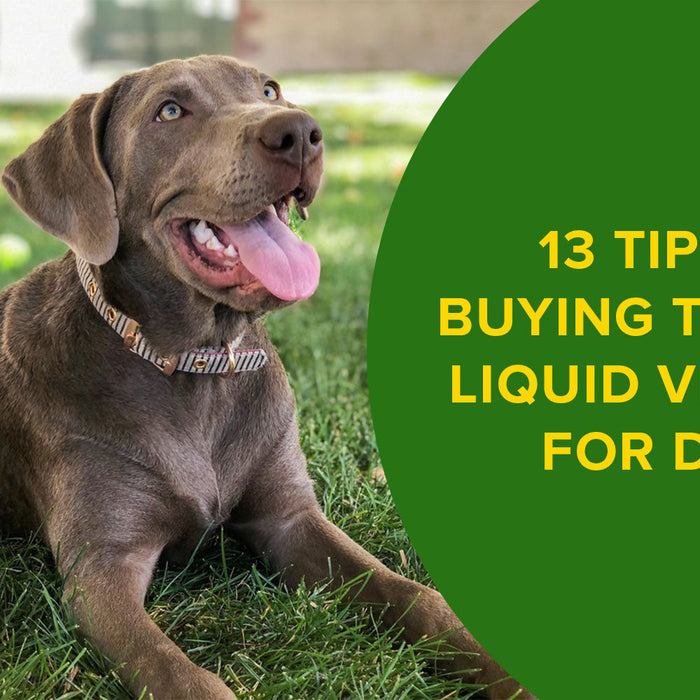 13 Tips on Buying the Best Liquid Vitamins for Dogs