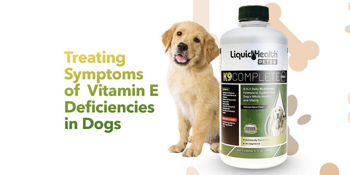 Treating Symptoms of Vitamin E Deficiency in Dogs — Liquid Health Wholesale