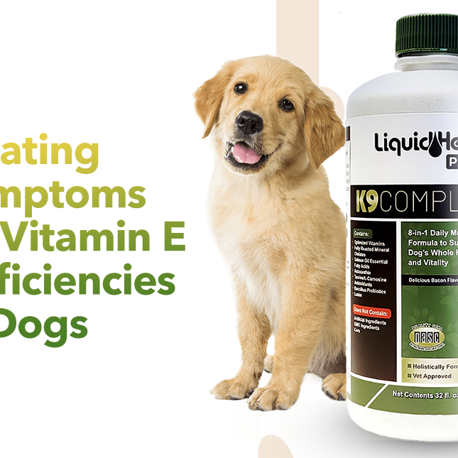 Treating Symptoms of Vitamin E Deficiency in Dogs