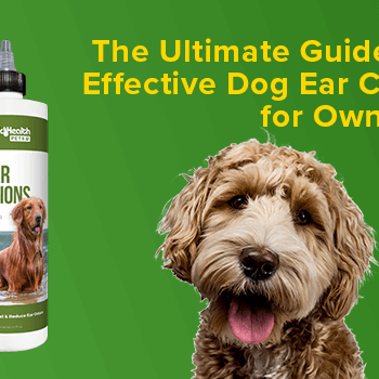 The Ultimate Guide to Effective Dog Ear Care for Owners