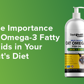 How Omega-3 Fish Oil Can Improve Your Cat's Skin and Coat