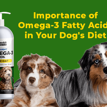 Importance of Omega-3 Fatty Acids in Your Dog's Diet