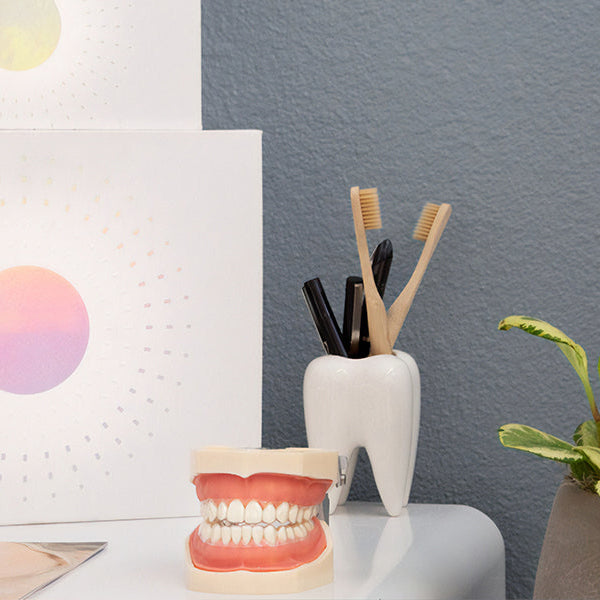 Fake teeth on a desk nearby toothbrushes