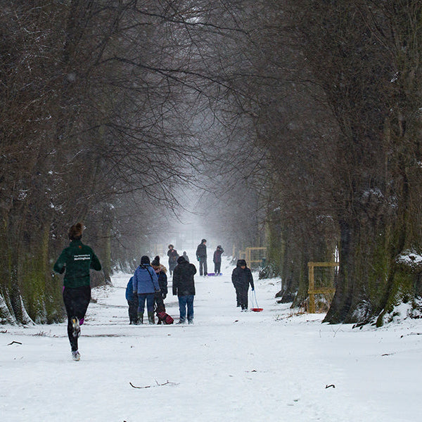 People between trees in a winter day