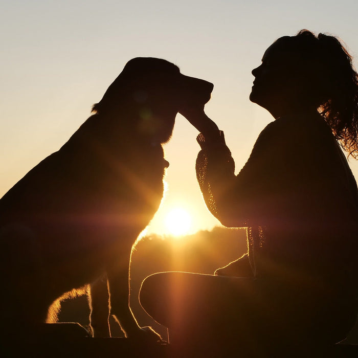 Woman holding her dog's chin next to a sunrise