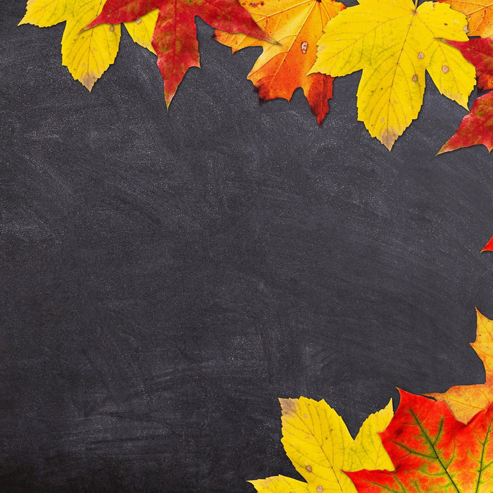 Black board surrounded by yellow leaves