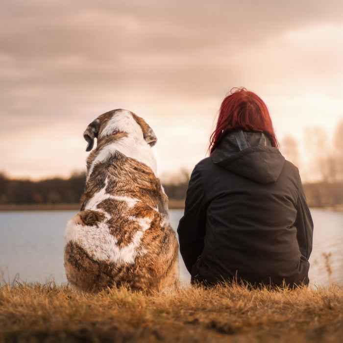 Woman with red hair sitting next to a dog watching the sunrise over the lake