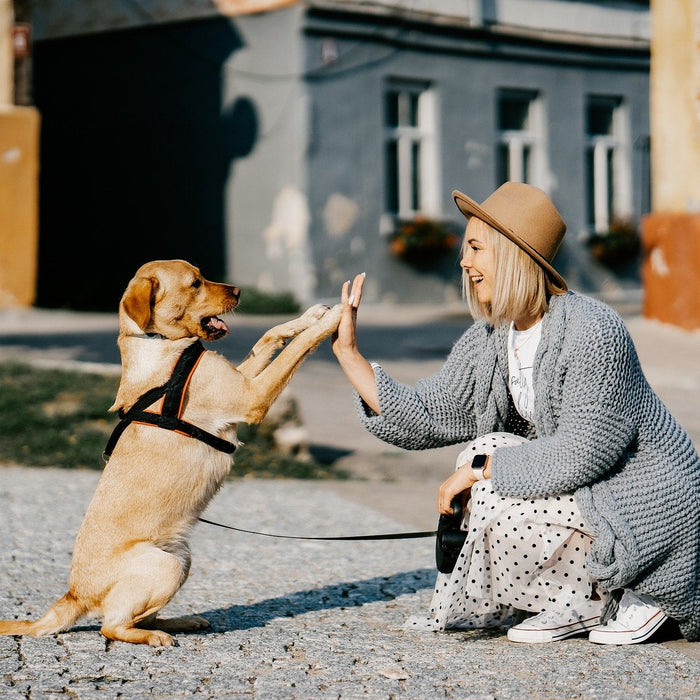 Woman and a dog doing a high-five in the street