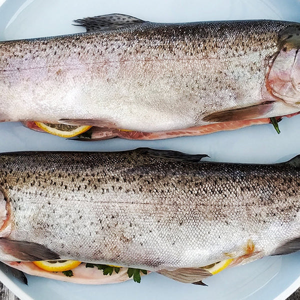 Two pieces of fish sitting on a blue plate on top of a wood table