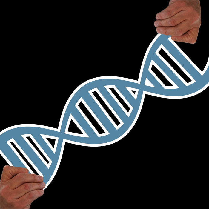Two hands holding DNA cartoon