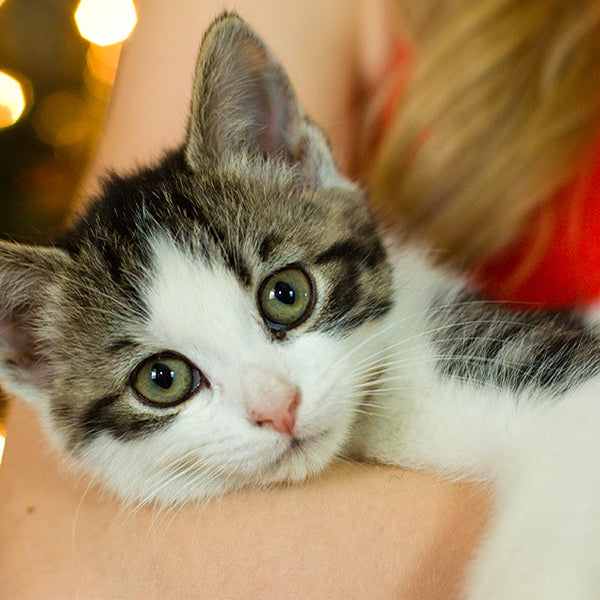Woman in red holding a kitty