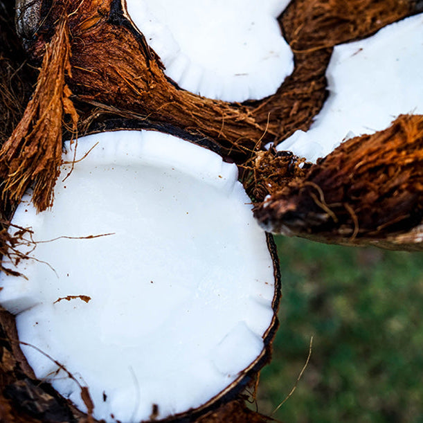 Woman sitting on grass and holding cracked coconut