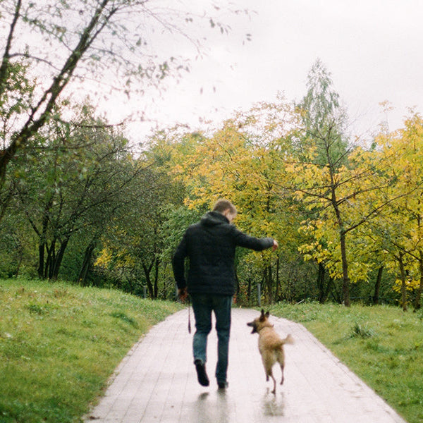 Man with his dog walking down a path in the park