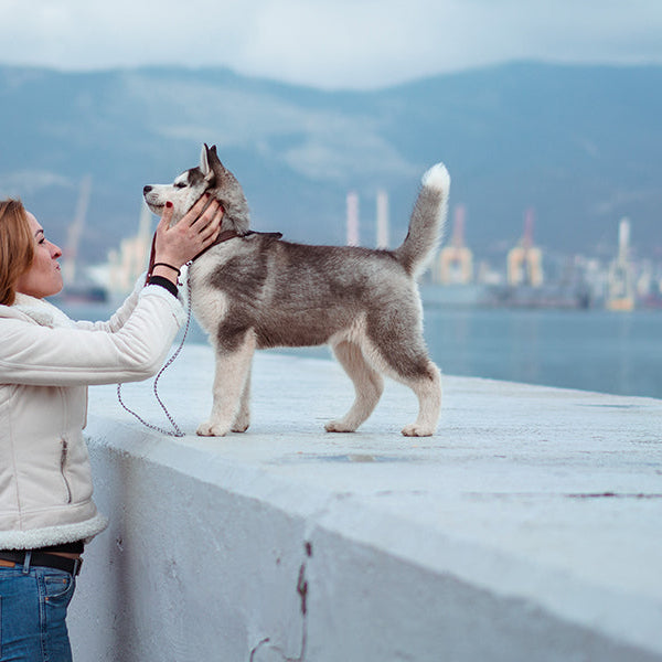 Woman petting a husky puppy next to the ocean