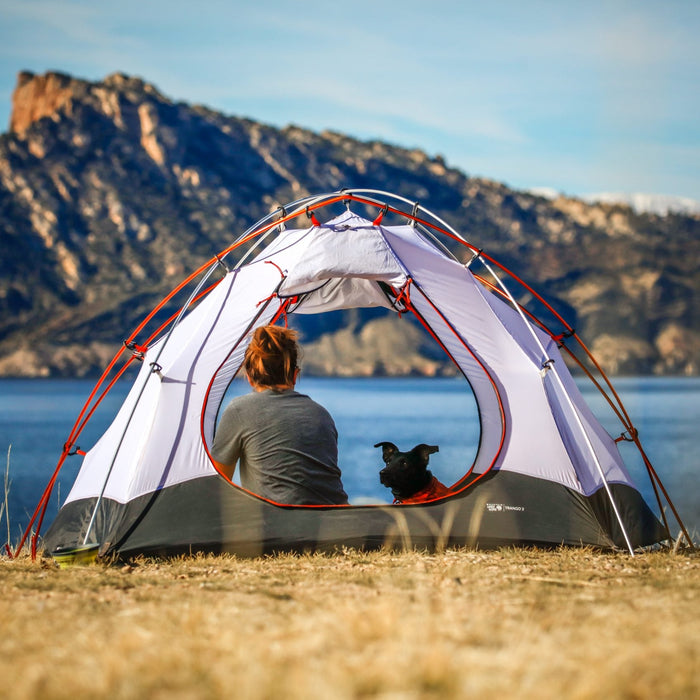 Woman with her dog inside a tent looking at a lake and mountain