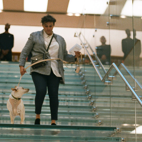 Man with his dog coming down the stairs