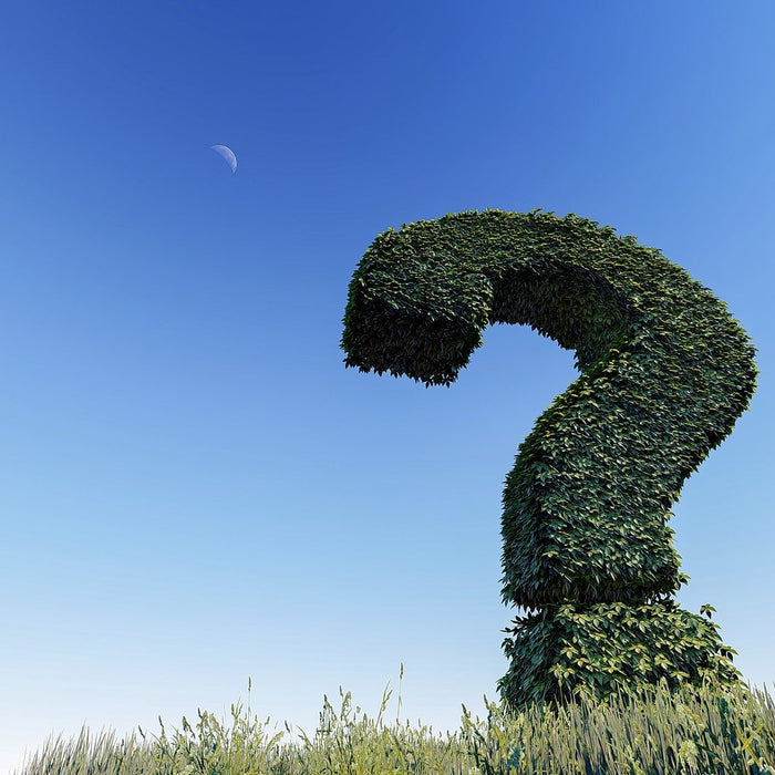Huge question mark made by grass in a field with a blue sky