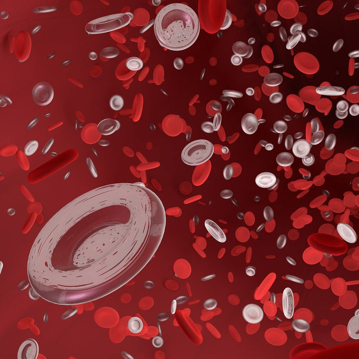 Red blood cells travelling