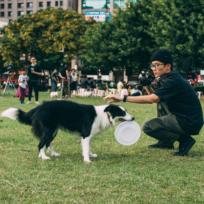Owner playing with his dog in the park