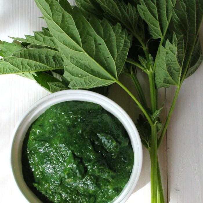 Spinach in a white bowl with leaves next to it