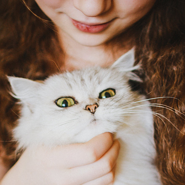 Girl with curly hair holding her white cat