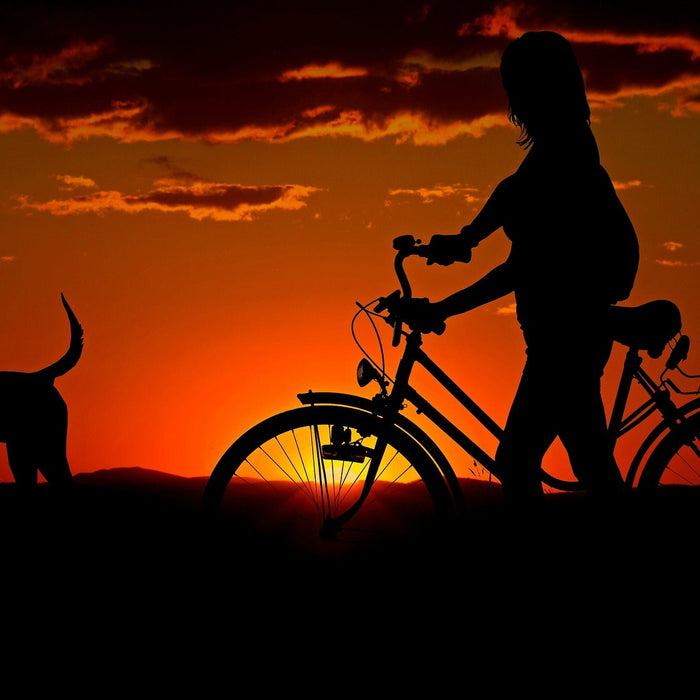 Person on a bicycle next to a dog over a sunset