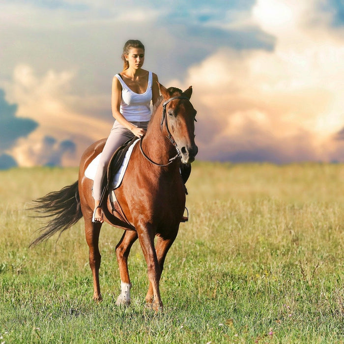 Woman on her horse through a field with blue sky