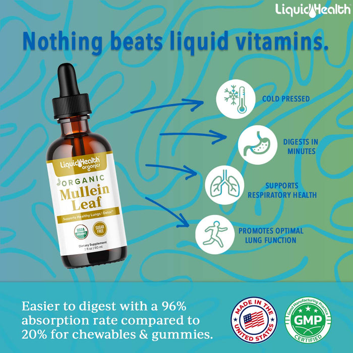 NEW! Mullein Leaf Extract (Organic, 1000 mg)
