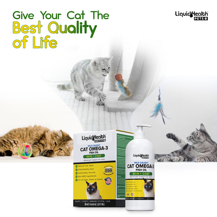 Giving cats fish oil hotsell