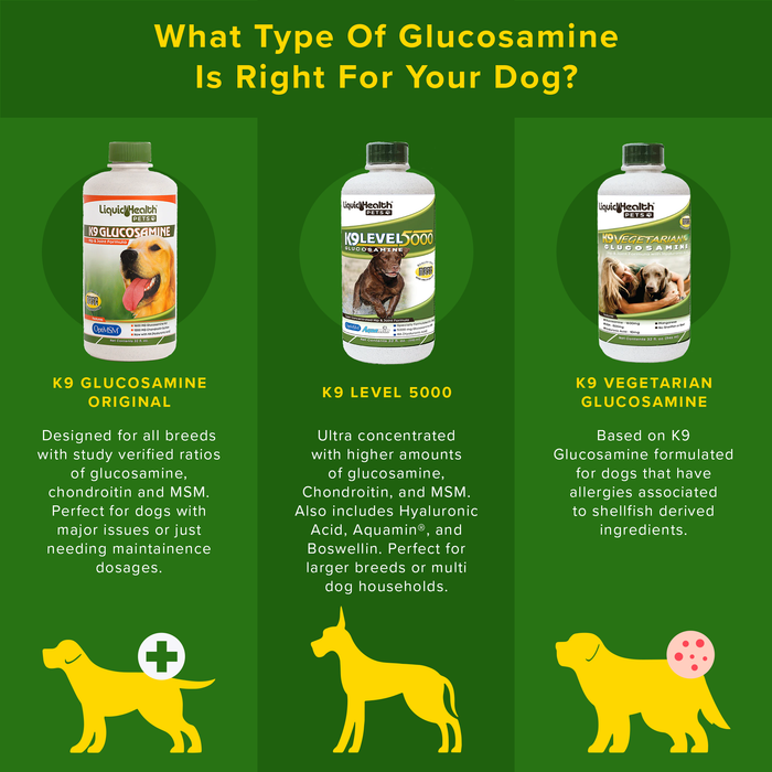 K9 Glucosamine For Dogs Joint Supplement — Liquid Health Wholesale