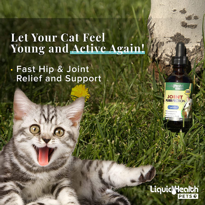 Joint Purr-Fection Glucosamine For Cats