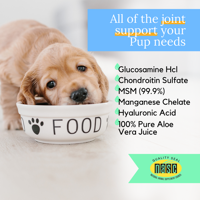 K9 Glucosamine For Dogs Joint Supplement