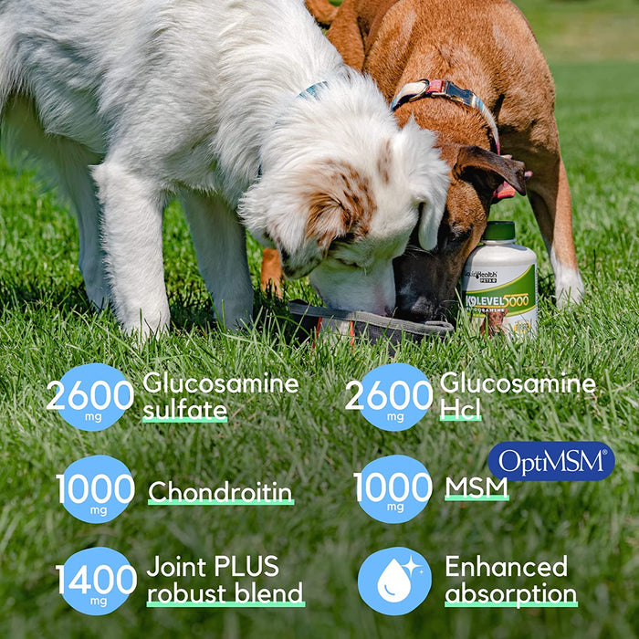 K9 Level 5000 Glucosamine For Dogs